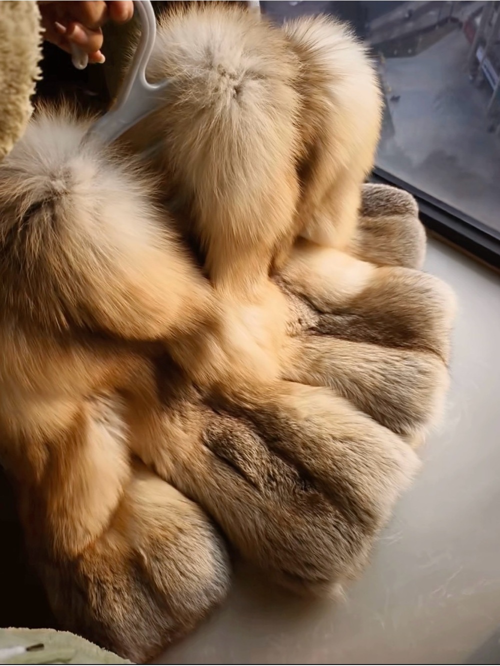 Luxurious hooded Golden island Fox Jacket - Picture 4 of 6